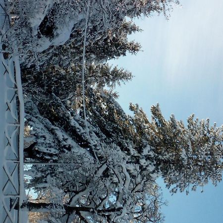 Il Castagno Bed & Breakfast Montemonaco Exterior foto