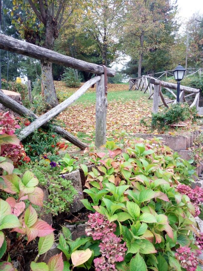 Il Castagno Bed & Breakfast Montemonaco Exterior foto