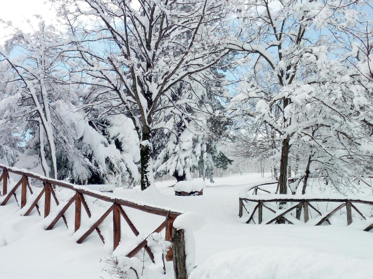 Il Castagno Bed & Breakfast Montemonaco Exterior foto
