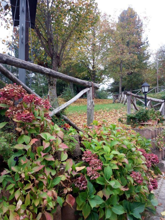 Il Castagno Bed & Breakfast Montemonaco Exterior foto
