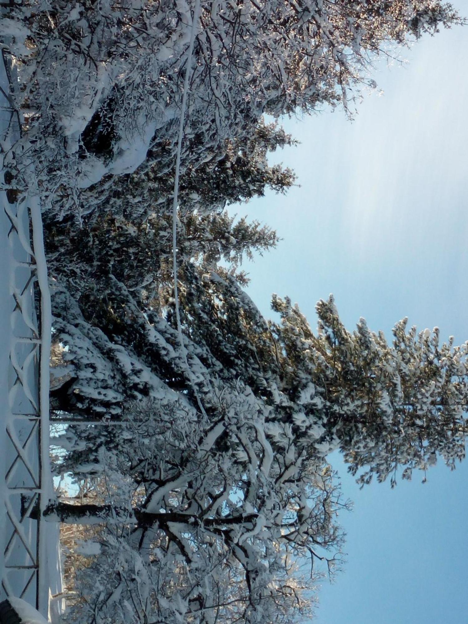 Il Castagno Bed & Breakfast Montemonaco Exterior foto